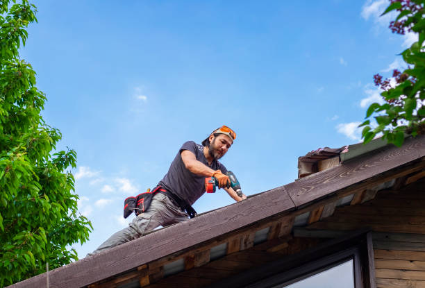 Best Asphalt Shingle Roofing  in Elroy, WI